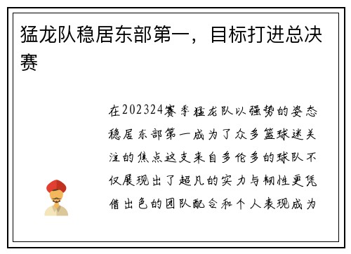 猛龙队稳居东部第一，目标打进总决赛